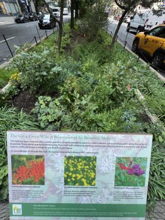 BMA lists down the details of the plants they’ve planted for the restoration project.