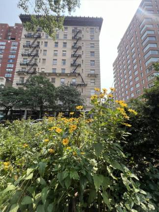 The BMA has focused on including more flowering plants so as to attract pedestrians to engage with the malls.