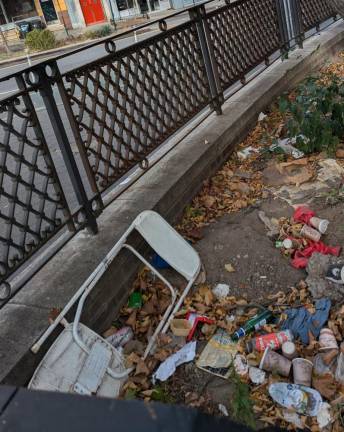 Garbage in... but not so much garbage out: the southern end of Sarah D. Roosevelt Park, October 28, 2024.