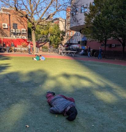 Afternoon nap, Sara D. Roosevelt Park, November 2, 2024.