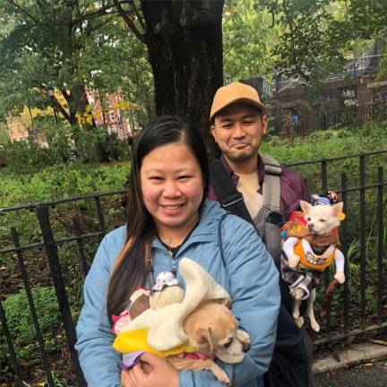 Cup cake dogs at the 33rd annual Tompkins Square Halloween Dog Parade look almost good enough to eat. Photo: Keith J. Kelly