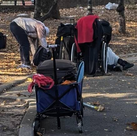 Morning in Sara D. Roosevelt Park, October 30, 2024.