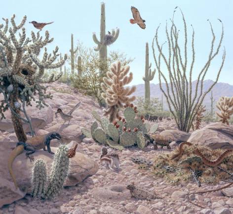 Jay Matternes features Ecosystems by Day in a new book.