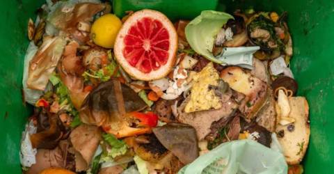 随着纽约市扩大食物废料收集，当地的堆肥企业寻求新客户