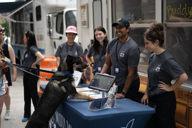 A Muddy Paws adoption event. The organization works to find homes for rescue dogs who would otherwise contribute to rising intake numbers in NYC.