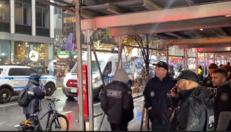 Several pro-Palestinian protestors were arrested for trying to block the parade at Fifth Ave. and 55th St. around 9:30 a.m. Police arrested 25 people.