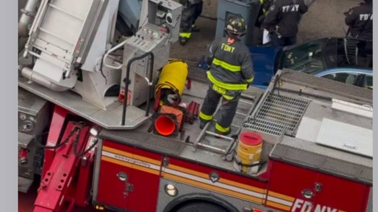 Firefighters shortly after rescuing Bella from an apartment building fire that killed her owner in the East Village on the morning of Feb. 2,