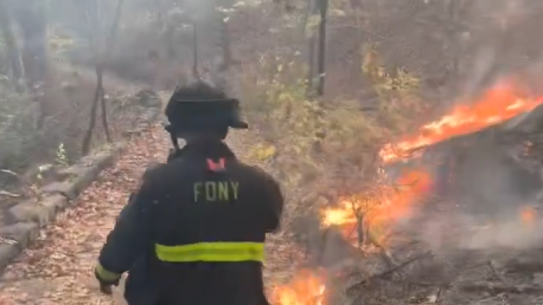 Over 80 firefighters responded to the brush fire that erupted in Inwood on Nov. 13. The FDNY deployed drones and pulled water from the Sputyen Divul River and Harlem River because the forest contained no fire hydrants.